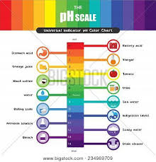 Ph Scale Universal Vector Photo Free Trial Bigstock