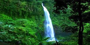 Banyumas (9,562.80 km) 53162 purwokerto, central java, indonesia. Curug Cipendok Keindahan Alam Di Lereng Gunung Slamet