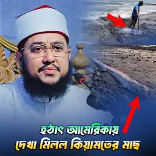 হঠাৎ আমেরিকায় দেখা মিলল কিয়|মতের মাছ‼️😥 সাদিকুর রহমান আজহারী Sadiikur  Rahman Azhari