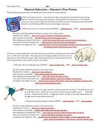 5 points of darwin's natural selection worksheet. Natural Selection A Darwin S Five Points Fulton County Schools