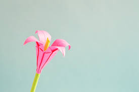 Check spelling or type a new query. Origami Flower Art Free Photo On Pixabay