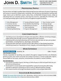 Described as a take charge person with Professional Resume Sample Resume Format Examples Professional Resume Samples Sample Resume Format