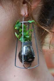 Alison Layton Environmental Whimsy Cute Jewelry Terrarium Plants