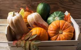 | calabaza, calabaza, calabazas en nuestro sitio encontrará una amplia colección de dibujos para colorear, imágenes, fotografías y manualidades. Cuales Son Las Diferencias Entre La Calabaza De Verano Y