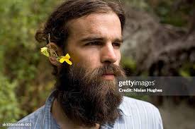 7,001 Beard Flowers Stock Photos, High-Res Pictures, and Images