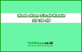 Demikianlah penjelasan mengenai kode alam capung masuk rumah malam hari yang bisa kami sampaikan. Kode Alam Cicak Kawin 2d 3d 4d Erek Erek Dan Primbon Mimpi
