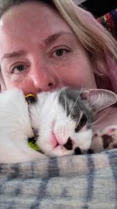 Tammy needed a buddy. Most people know two cats are better than one. I  wanted Tammy to be an only child but knew he wouldn’t turn out very calm  and collected growing up by himself. And then I saw ...