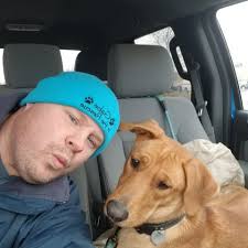 Transporting 4 dogs from Yorktown to Falls Church