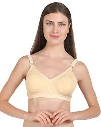 Groversons Paris Beauty Sparsh Support Chikan Non Wired Seamless Ultra Soft Cotton Fabric Full Coverage Non Padded Comfortable Bra For Women Girls