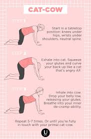 Cat cow pose benefits the following muscles and hence can be included in yoga sequences with the corresponding muscle(s). Learn How To Do The Cat Cow Yoga Pose It Will Help You Relax On Your Period For More Workout Tips And Recipes Visit Our Find Your Fitness Board P Poses Yogui