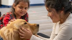title We recently welcomed some very special visitors to our Rapid City  office — Casey and Pippi! 🐕🐾 Casey Trandem, from Hermosa School in the  Custer School District 16-1, was one of