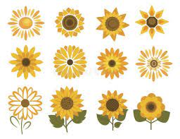 Check spelling or type a new query. Set Of Sunflower Flowers Collection Of Cartoon Sunflowers Stylized Flowers For Logo Illustratio Sunflower Illustration Sunflower Drawing Sunflower Wallpaper
