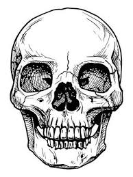 Black And White Illustration Vector Black And White Illustration Of Human Skull With A Lower Skull Illustration Black And White Illustration Skull Drawing