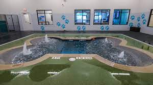 Uma das idealizadoras da pet paradise resort, a malú é uma apaixonada nata. Georgetown Pet Boarding Pet Paradise