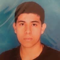 60+ "Ronald Nina" profiles