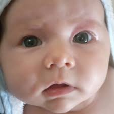 Fundraiser for Hannah Hinchliffe by Elise Petrusma : A funeral for Frankie  Bea