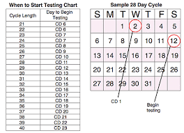 Ovulation Midstream Test Results And Instructions Www