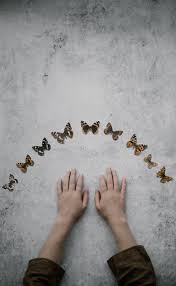 Throwing The Bones How To Make And Use A Bone Set The Traveling Witch Hand Pictures Butterfly Pictures Butterfly Photos