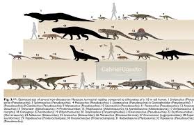 size comparisons of various non dinosaur reptiles of the