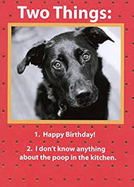 Wish the special person a great birthday with magical butterflies, fairy and hearts! Amazon Com Two Things Recycled Paper Greetings Funny Birthday Card From The Dog Office Products