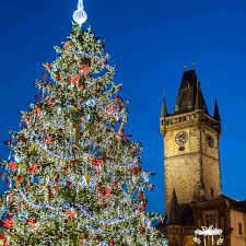 Find the perfect christmas tree image from our incredible photo library. The Biggest Christmas Trees On Earth