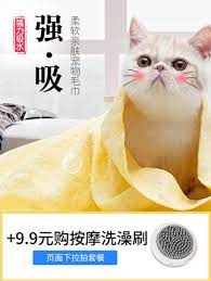 宠物速干吸水毛巾大号狗狗猫咪浴巾洗澡用品加厚仿鹿皮巾泰迪毛巾 tmall com天猫 kitten animals cats