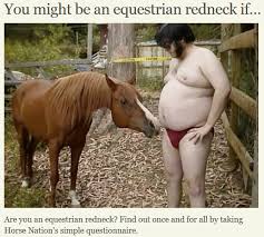 Craigslist provides local classifieds and forums for jobs, housing, for sale, services, local community, and events. Best Of Craigslist Gelding 700 Reno Nv Horse Nation