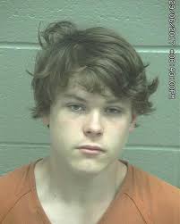 Two teens charged with theft