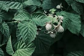 See more of pqwt underground water detector & water pipe leakage detector on facebook. Fujifilm X100v Film Simulation Recipe Bleach Bypass Fuji X Weekly