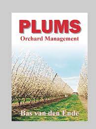 This means that the apple density. Plum Management Buy