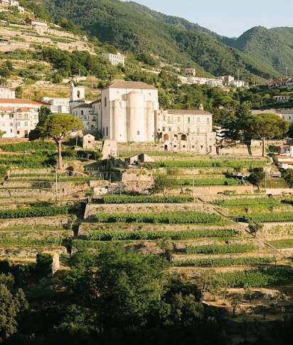 🚨🚨🚨Attenzione🚨🚨🚨 The 2024 Prisinzano wines have landed in NYC and are  now available at all our restaurants! Organic farming, low intervention  wines made right on the Amalfi Coast by our incredible team.