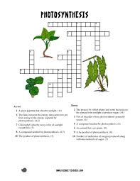 Posted on february 12, 2020 at 12:00 pm. 26 Awesome A Garden Plant Crossword Clue Garden Plants