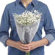 Where can i buy baby's breath flowers near me. Blooms Baby S Breath Gypsophilia Limit 4 Per Order Shop Flowers Arrangements At H E B