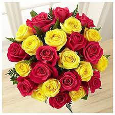 We did not find results for: 50 Red And Yellow Roses Bouquet Giftsmyntra Com