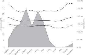 Image result for Grewia rugosifolia