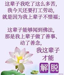 这辈子能够闻到佛法 那是我上辈子做了善事 动了善念 我这辈子才能解脱 life quotes words quotes