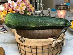 Giant pumpkins generally need 2 pounds nitrogen (n), 3 pounds phosphorous (p2o2) and 6 pounds potash (k2o) per 1,000 square feet of growing space. Giant Zucchini Year Two Surreyfarms A Serene Haven In The Foothills Of Northern California