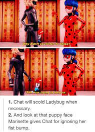 Those Two Are Way Too Cute For Their Own Good Miraculous Ladybug Memes Miraculous Ladybug Comic Miraculous Ladybug Funny