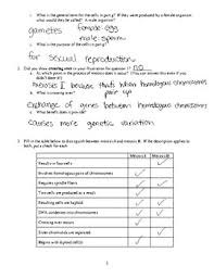 Many motivators misconception concerning the material they offer when meeting audiences. Meiosis Practice Worksheet By Briana Ransom Teachers Pay Teachers