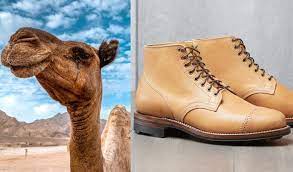 Leather boots can be a significant purchase, but leather's ability to be restored makes that investment well worth it. The Pros And Cons Of Camel Leather Apparel Stridewise Com