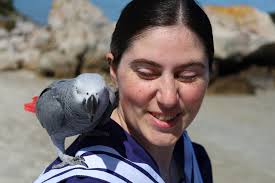 Parrot Haven Parrot Rescue of Nova Scotia