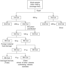 Analysis Of Grain Quality At Receival Sciencedirect