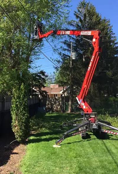 Home - Als Tree Service