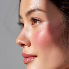 Học viện thời trang dành cho trẻ em Champions Academy Vietnam khai trương  chi nhánh mới