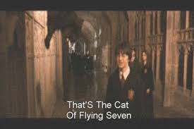 Subtitle harry potter and the goblet of fire (2005) bdrip 720p x264 esub tamil+eng: These English Subtitles From A Chinese Harry Potter Movie Are The Best