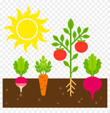 See more ideas about food clipart, clip art, food humor. Cartoon Vegetable Garden Garden Clipart 5281212 Pikpng