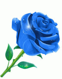 If you're in search of the best blue rose background, you've come to the right place. Blue Rose Gifs Tenor