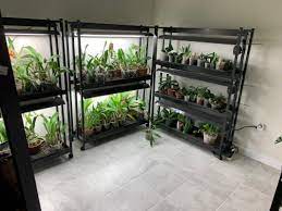 Florida orchid growing'in 13.674 üyesi var. Growing Orchids Indoors High Intensity Grow Lights With 2 Tiers