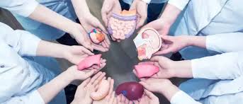 Image result for Transplantation