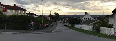 De viktigste bransjene er verkstedindustri, treforedling, produksjon av gummi og plastprodukt. Barnetrakk I Moss Kommune Norsk Kommunalteknisk Forening